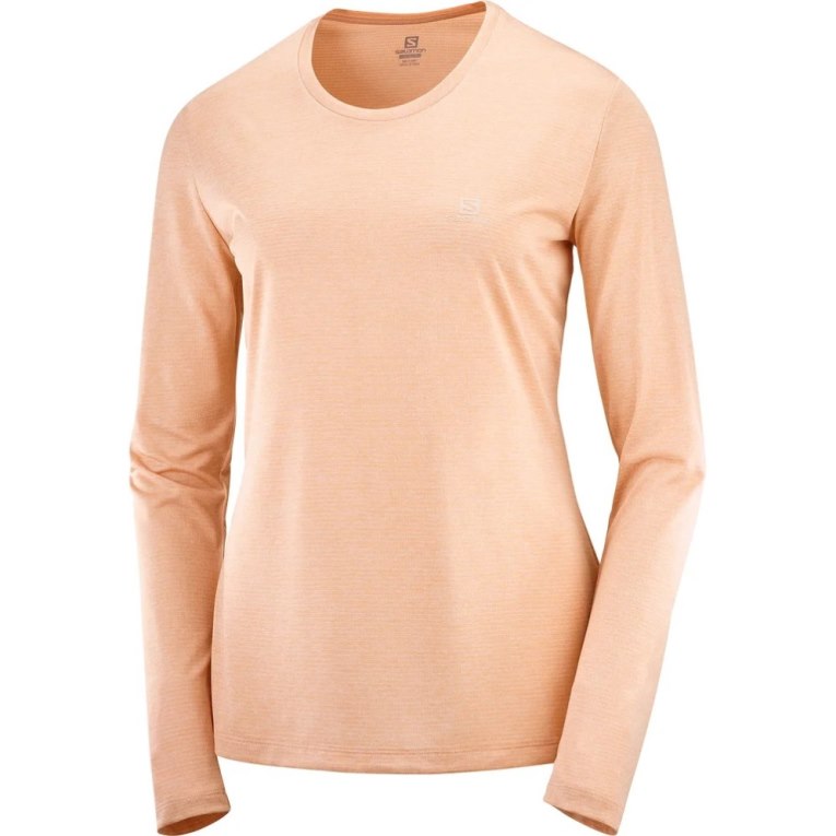 Camiseta Salomon Agile Long Sleeve Mujer Albaricoque | MX TPVE305